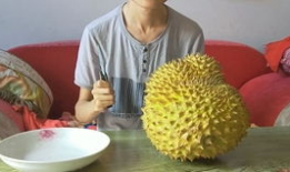 开榴莲视频,香气四溢，揭秘开榴莲全过程